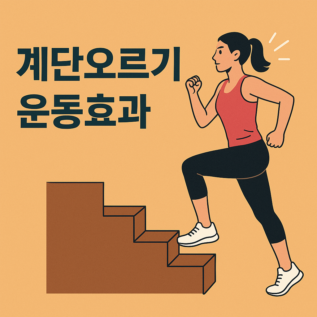 계단오르기 운동효과