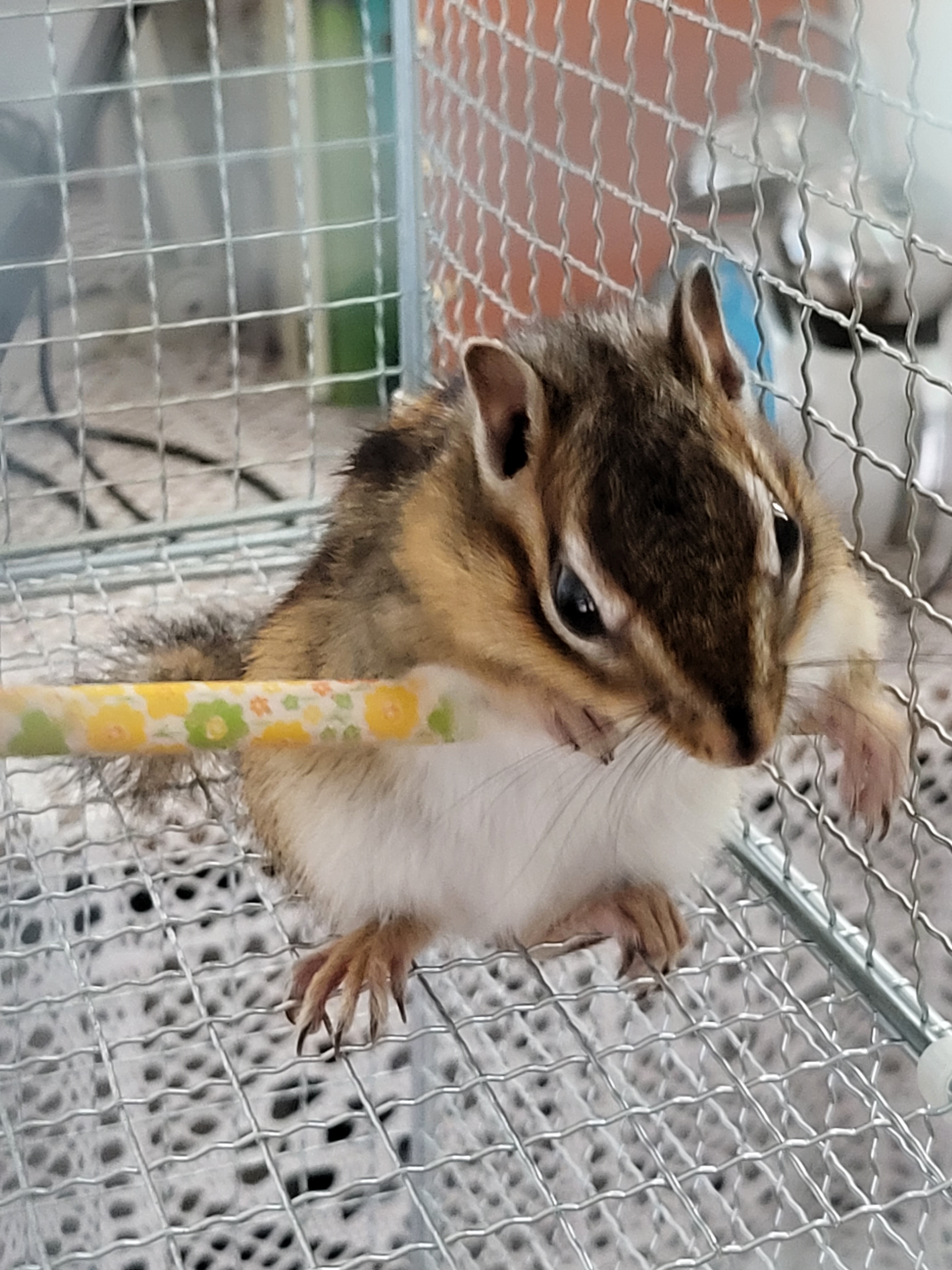 할수 있어~