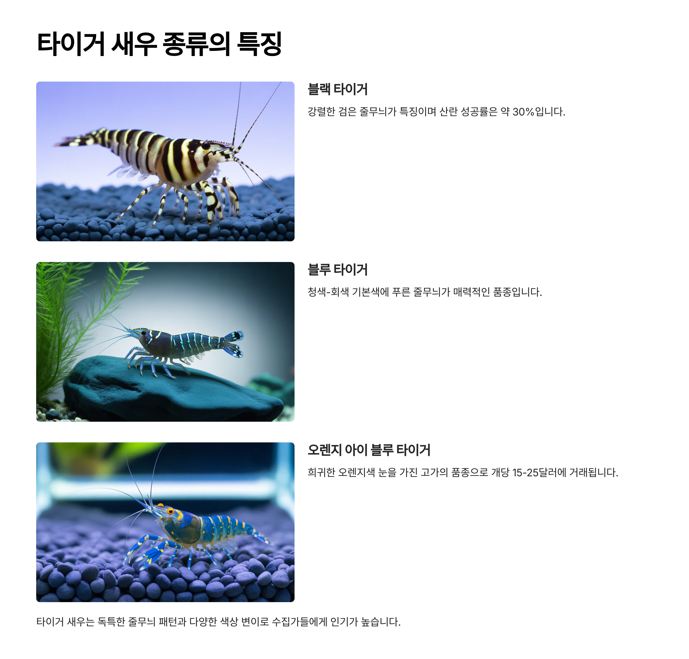 타이거 새우 종류의 특징