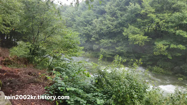 조문 위로문자 문구 작성방법