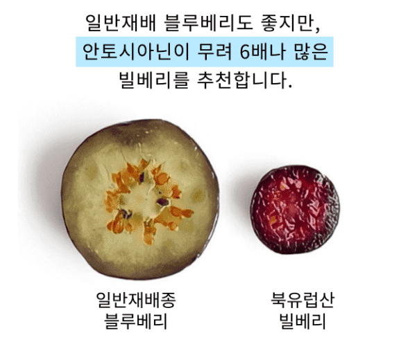 눈에좋은영양제 눈영양제 루테인