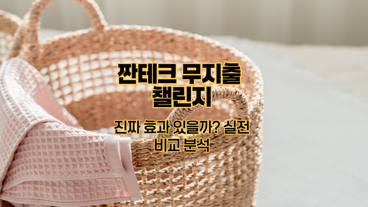 짠테크 무지출 챌린지|진짜 효과 있을까? 실전 비교 분석
