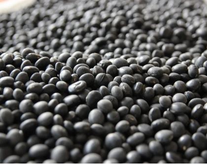 탈모에 좋은 음식