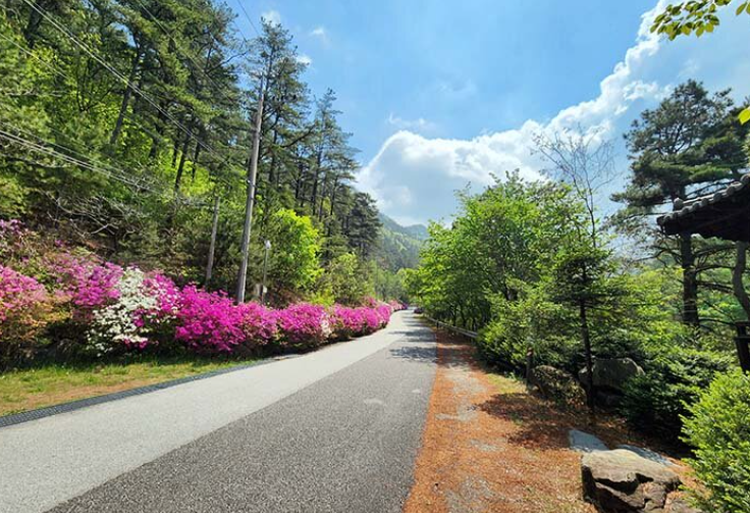 속리산 말티재 자연휴양림