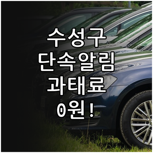 대구 수성구 주정차 단속 알림 신청 ..