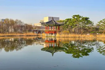 나는 빛나는 별처럼 느꼈습니다 한밭수목원 클레마티스 전시회 관람기_18