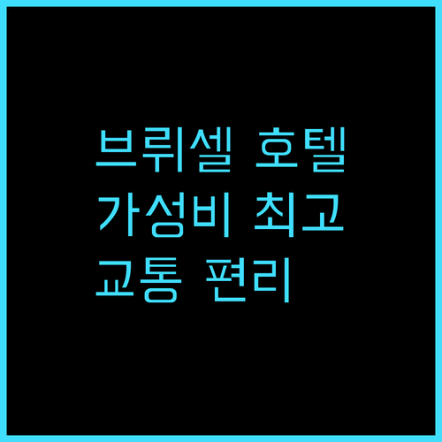 이비스 스타일스 호텔 브뤼셀 루이스 ..