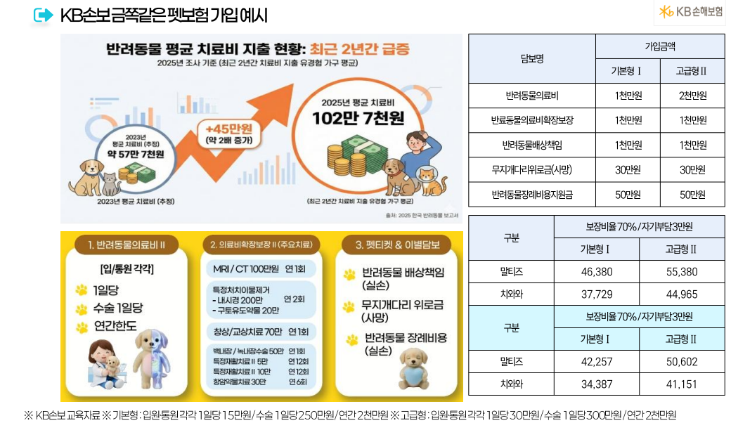 반려동물보험