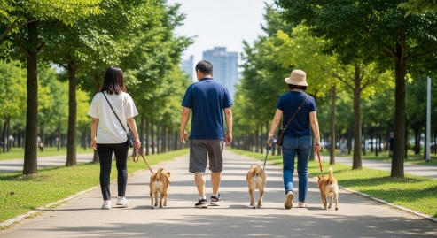공원에서 강아지와 함께 걷는 사람