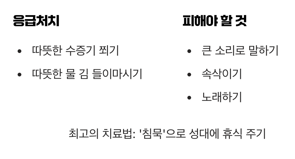 목소리를 위한 응급처치와 휴식