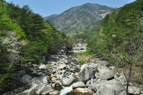 강원도 가볼만한곳 이미지 입니다.