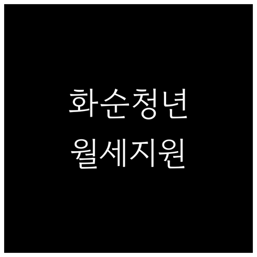 화순군 청년 월세 지원 사업 신청 일..