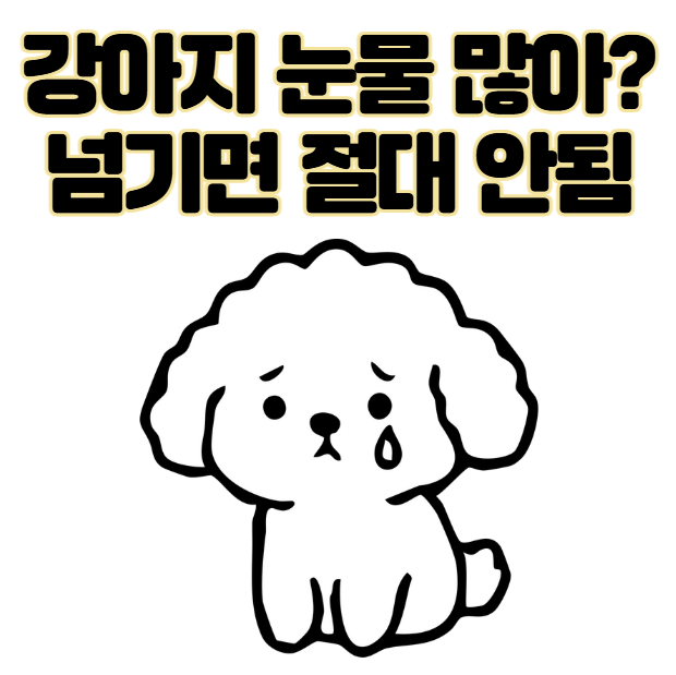 갑자기 강아지 눈물 많아짐? 괜찮다고 넘기면 안되는 3가지 이유