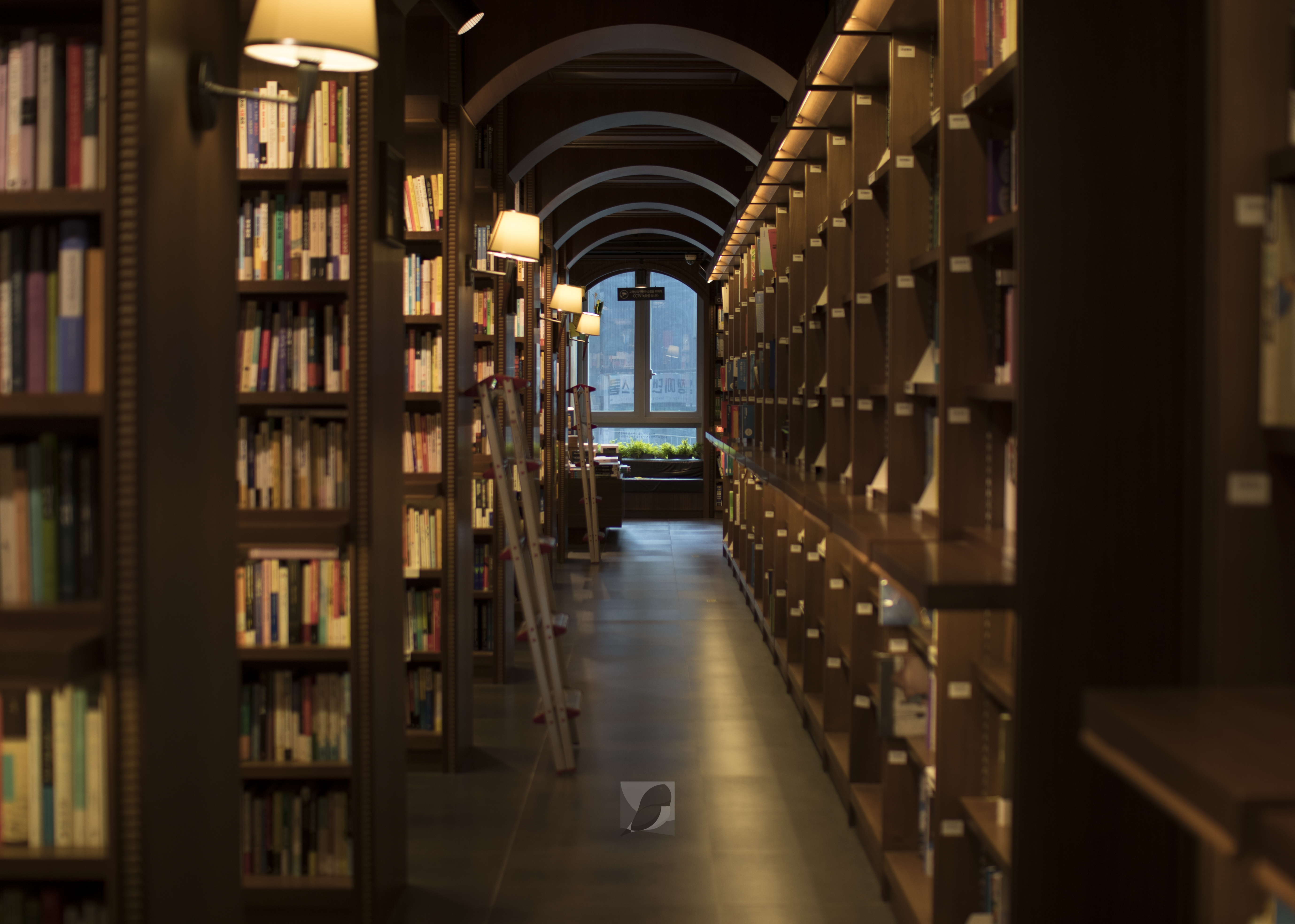 교보문고대전점7