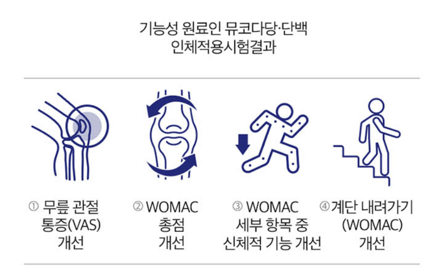 부모님 선물 추천 관절 건강기능식품 콘드로이친 골드