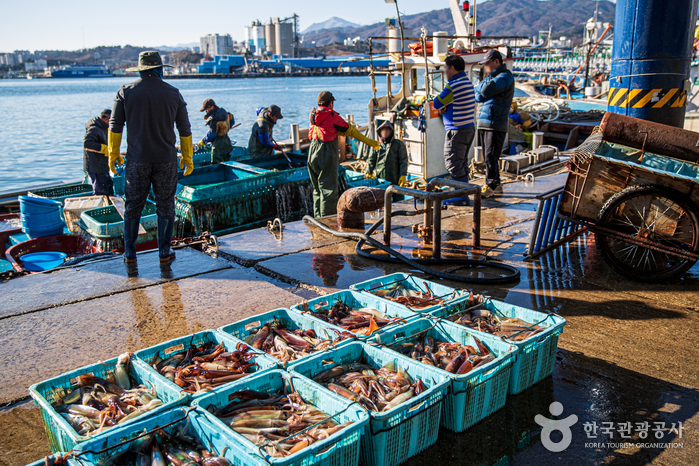 동해 가볼만한곳 - 묵호항