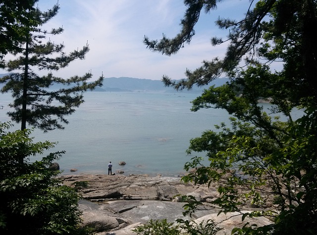 완도 바다 공원