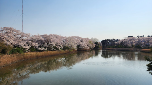 경포호수