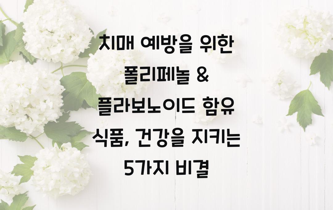치매 예방을 위한 폴리페놀 & 플라보노이드 함유 식품