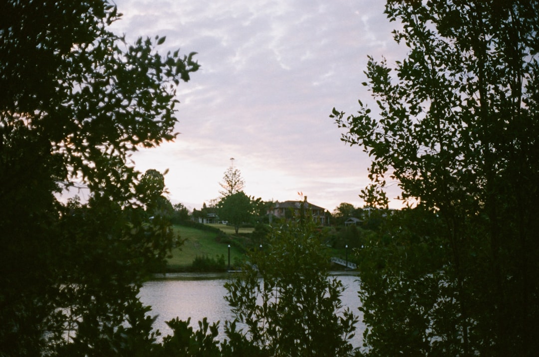 Copley