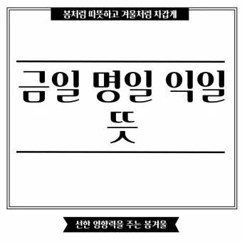 명일 뜻 익일 작일 금일 내일 전일 어제 차일 정리_22