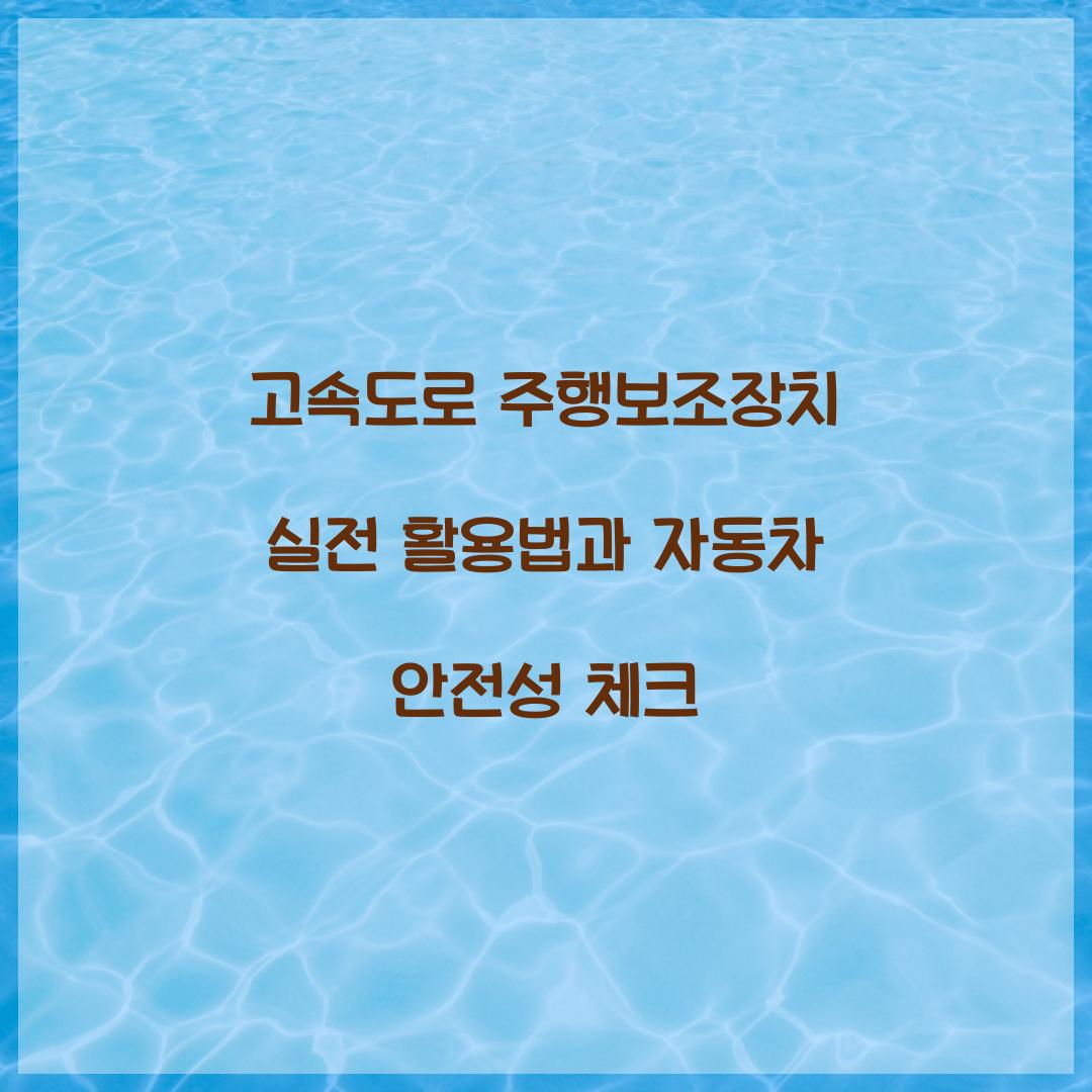 고속도로 주행보조장치