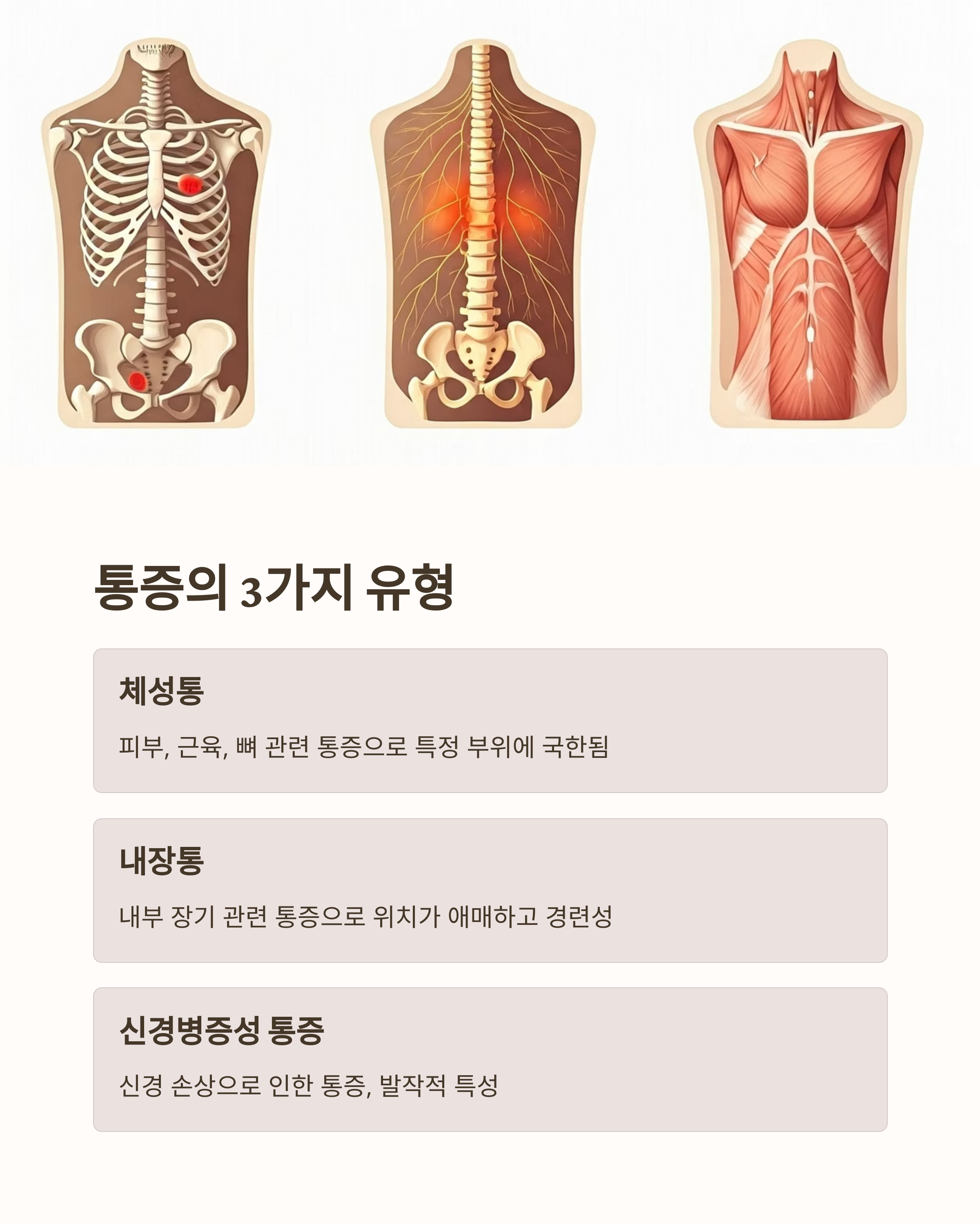 말기암 환자 통증의 3가지 유형