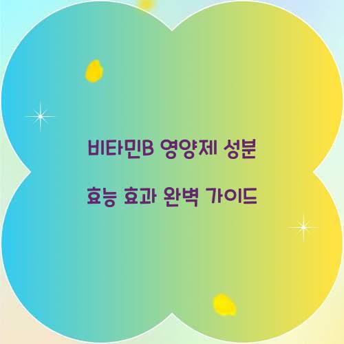 비타민B 영양제 성분 효능 효과