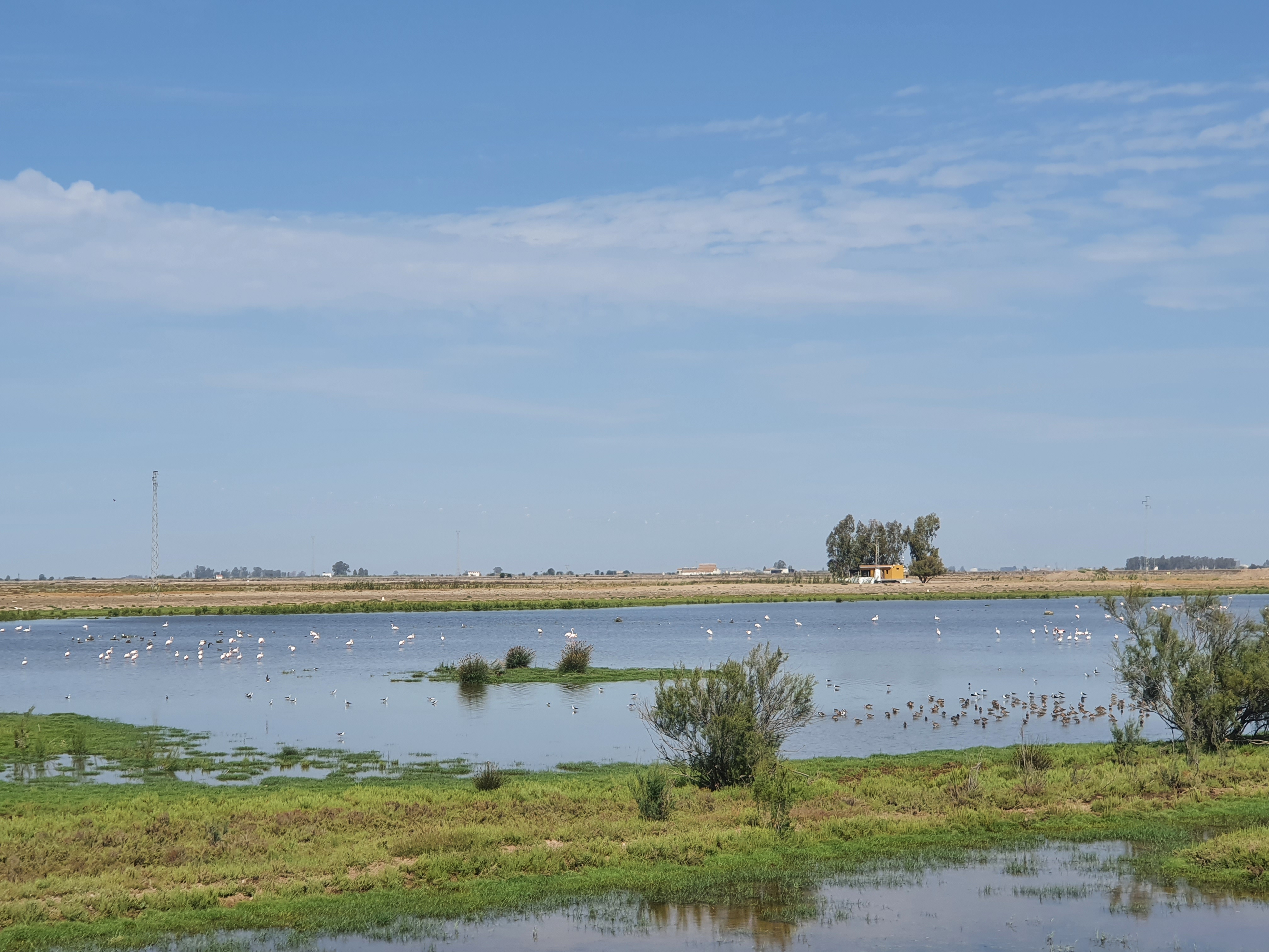 스페인 우엘바 도냐나 국립공원