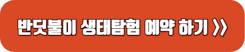 반딧불이-생태탐험-예약-링크-버튼