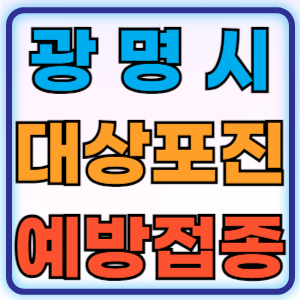 경기도 광명시 대상포진 무료 예방접종 백신 비용지원 신청방법 대상자 준비물