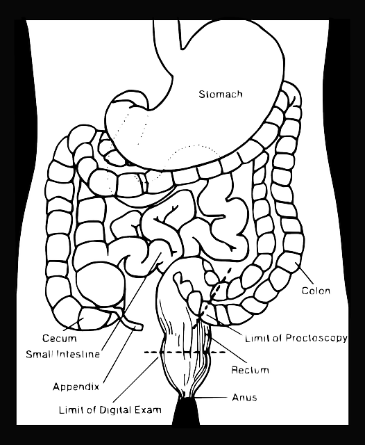 젊은층에서 많이 걸리는 충수암&amp;#44; 예방이 최선!