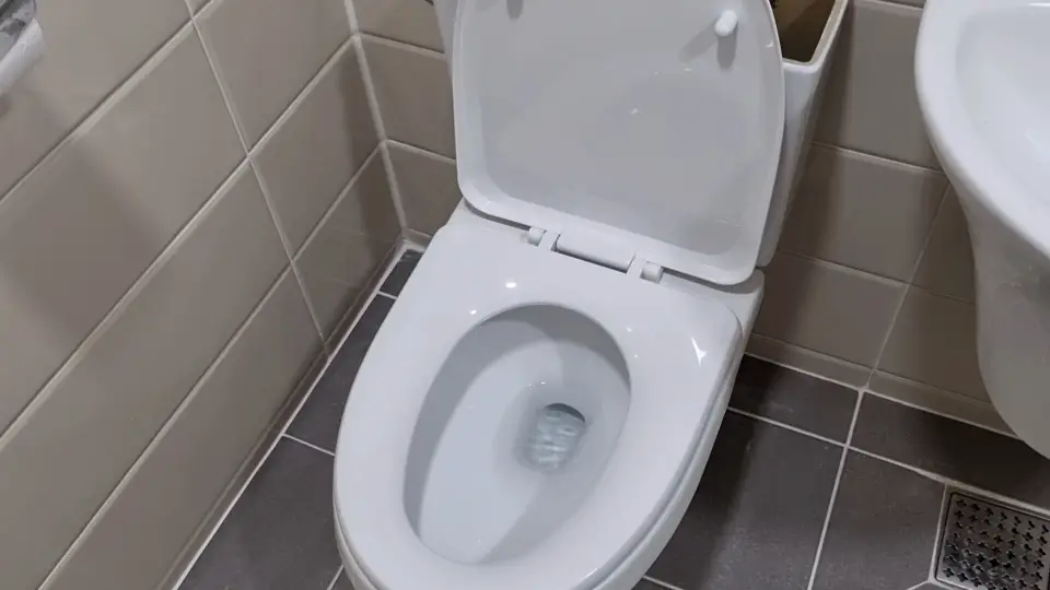 양변기 사용 후 모습