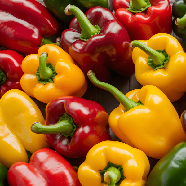 비타민c 효능 사진 7