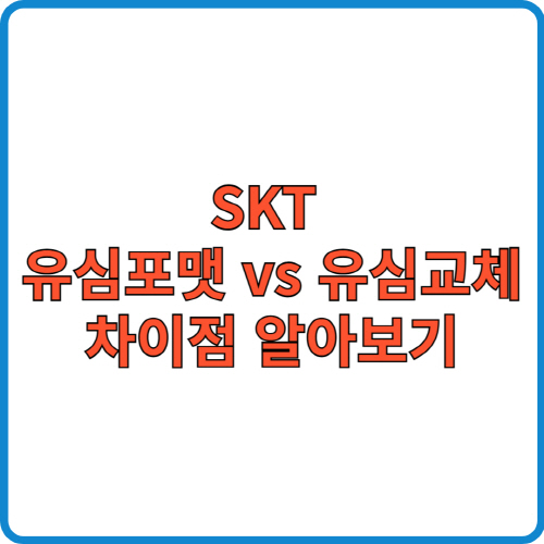 skt 유심포맷, 유심교체와 차이점 알아보기