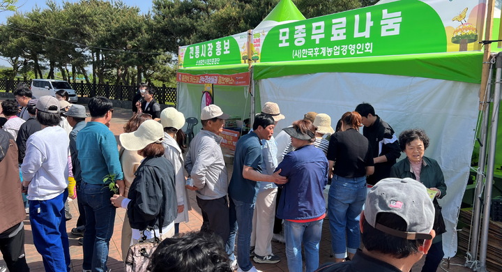 모종나눔