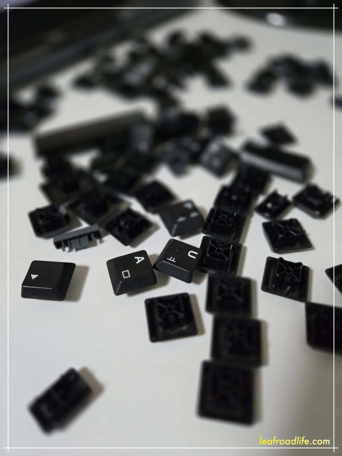 키보드-버튼-사진