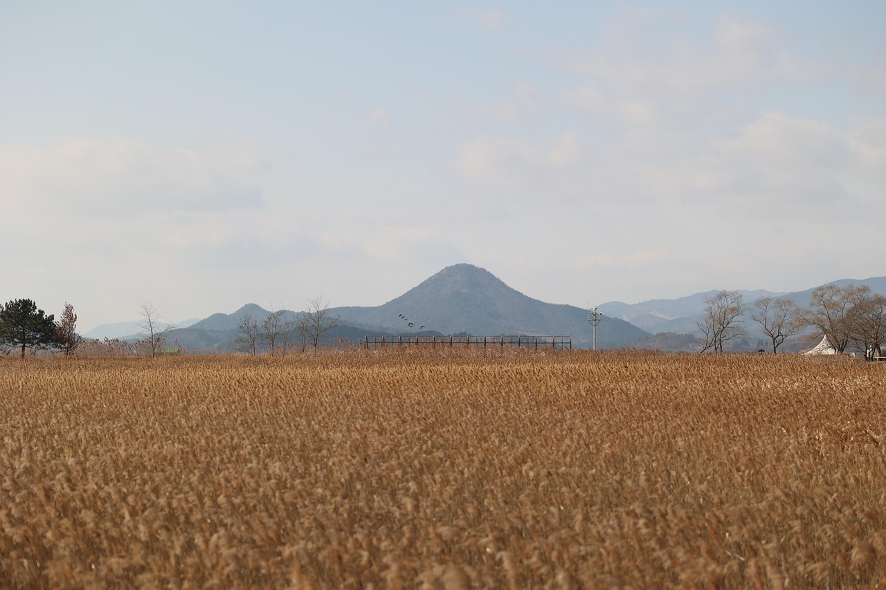 순천만국가정원