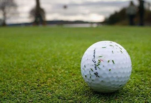 정암골프연습장