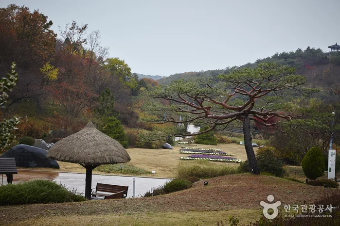 안면도수목원 가이드 : 입장료 할인부터 예약까지