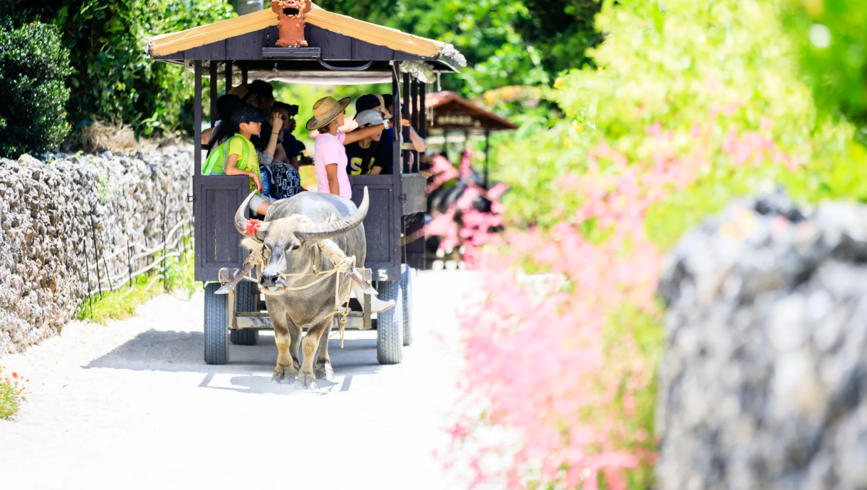 이시가키 필수 관광지 관련 이미지