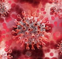 페루 람다 변이