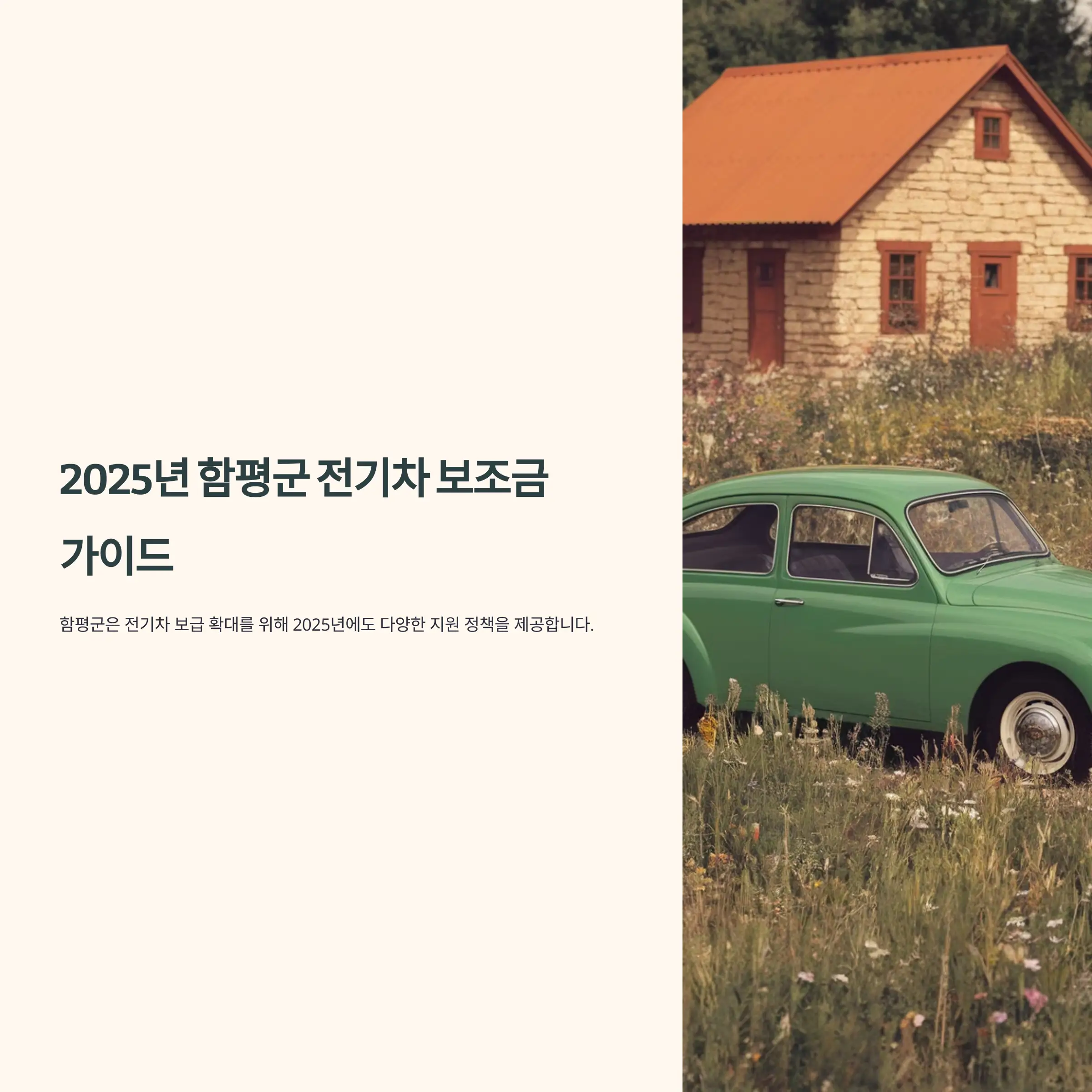 2025년 전남 함평군 전기차 보조금