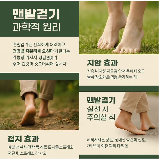 맨발건기 과학적 원리 카드 뉴스