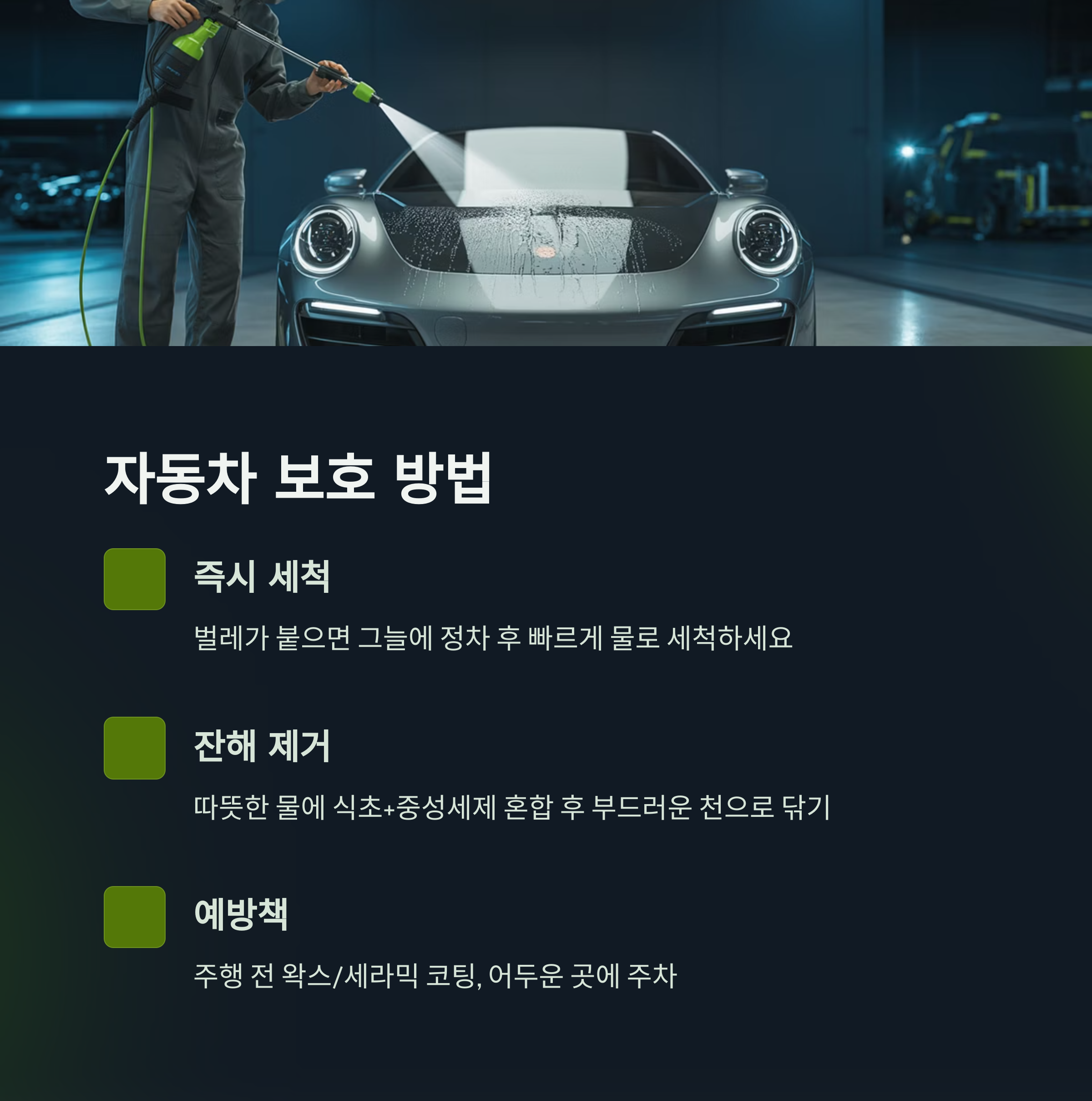 러브 버그, 자동차에 붙었을 때 이렇게 하세요