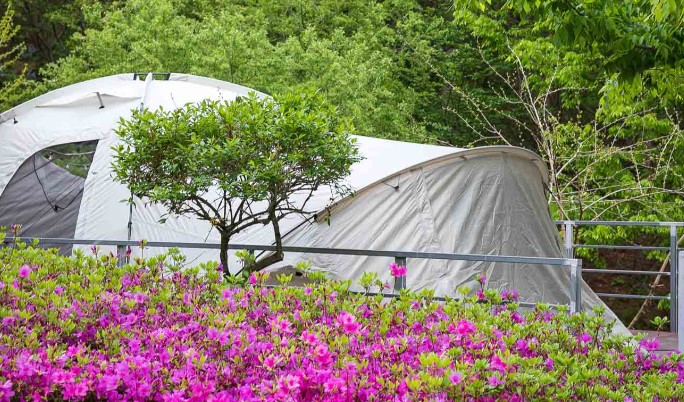 수목원프로방스 캠핑장