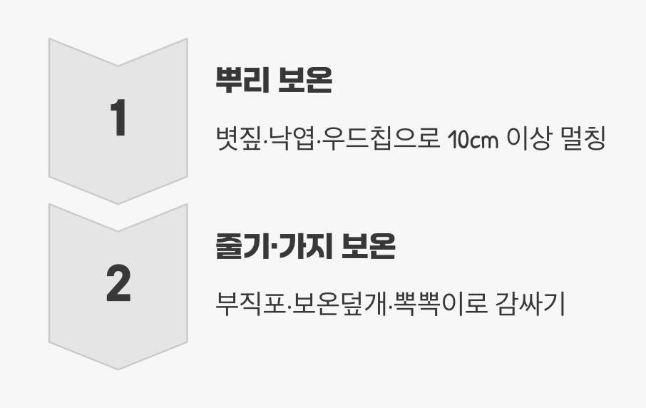 가장 중요한 비법, '따뜻한 옷 입히기'