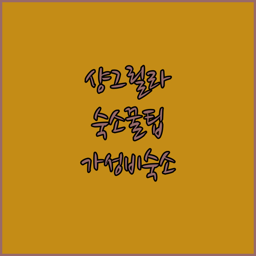 샹그릴라 여행객 필독 가성비 좋은 숙