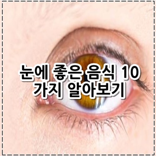 눈에 좋은 음식 10가지 알아보기