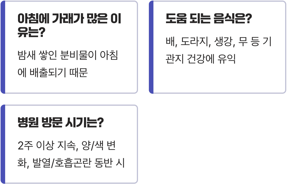 가래생기는이유, 삼켜도 될까 뱉어야 할까?